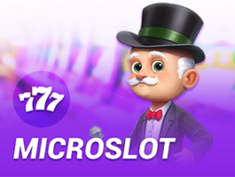 Microslot_265-x-200.png